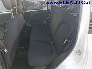 FIAT Panda usata 14