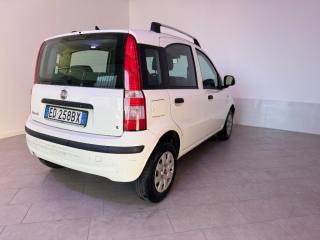 FIAT Panda usata 10