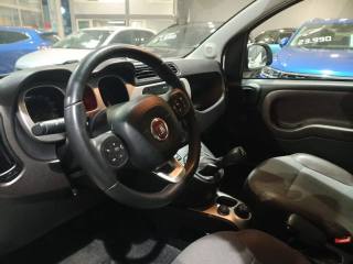 FIAT Panda Cross usata, con Climatizzatore