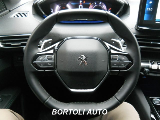 PEUGEOT 3008 usata, con Climatizzatore