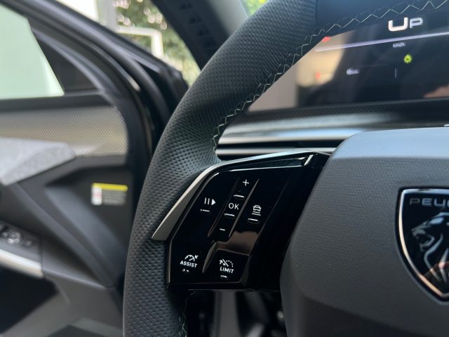 PEUGEOT 3008 usata, con Servosterzo
