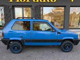 FIAT Panda usata, con Trazione integrale