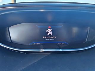 PEUGEOT 3008 usata, con Climatizzatore