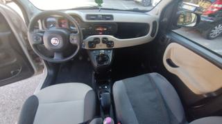 FIAT Panda usata 23