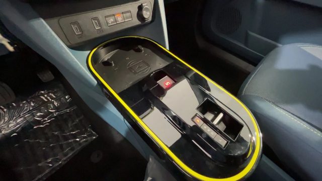 FIAT Grande Panda usata, con Cruise Control