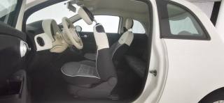 FIAT 500 usata 41