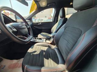 FORD Kuga usata, con Interni in pelle