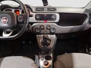 FIAT Panda Cross usata, con Fendinebbia