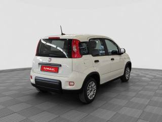 FIAT Panda usata 4