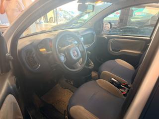 FIAT Panda usata, con Alzacristalli elettrici