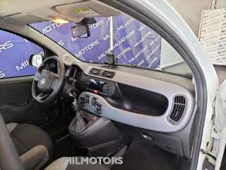 FIAT Panda usata, con Airbag testa
