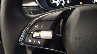 SKODA Fabia usata, con Fendinebbia