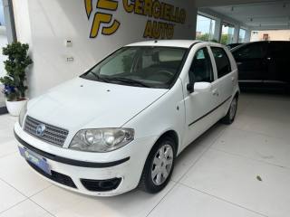 FIAT Punto usata, con Servosterzo