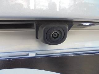 FORD Focus usata, con Bracciolo