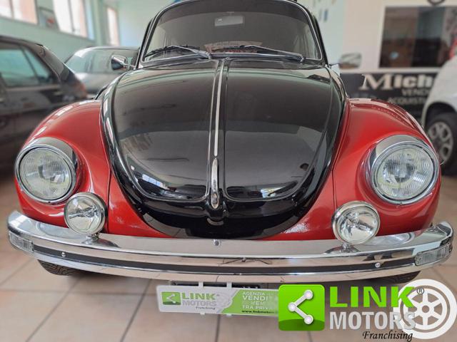 VOLKSWAGEN Maggiolone usata 13