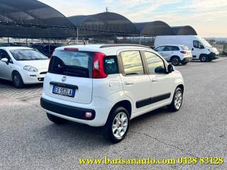 FIAT Panda usata, con Airbag Passeggero