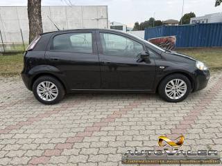 FIAT Punto Evo usata, con Alzacristalli elettrici
