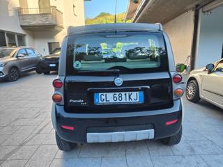 FIAT Panda usata, con Cronologia tagliandi
