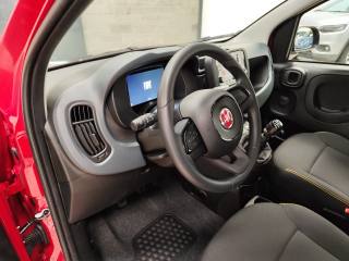 FIAT Panda usata 11