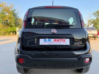 FIAT Panda Cross usata, con Chiusura centralizzata
