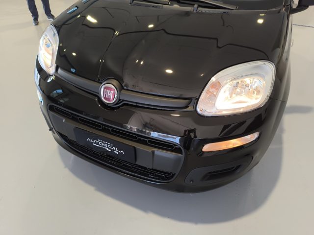 FIAT New Panda usata, con Volante multifunzione