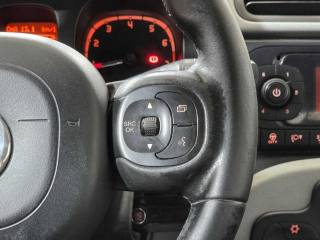 FIAT Panda usata 19