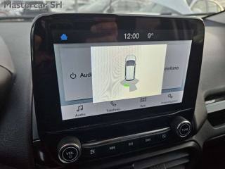 FORD EcoSport usata, con Volante in pelle