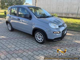 FIAT Panda 1.0 FireFly S&S Hybrid,Km 14622
