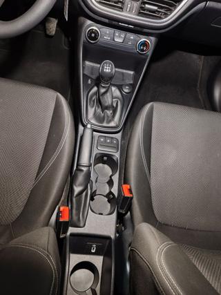 FORD Fiesta usata, con Vetri oscurati