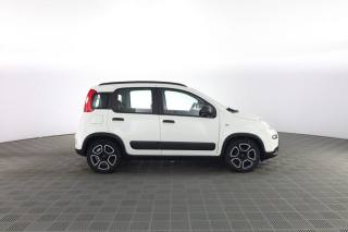FIAT Panda usata 2