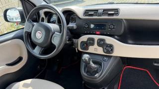 FIAT Panda usata 5