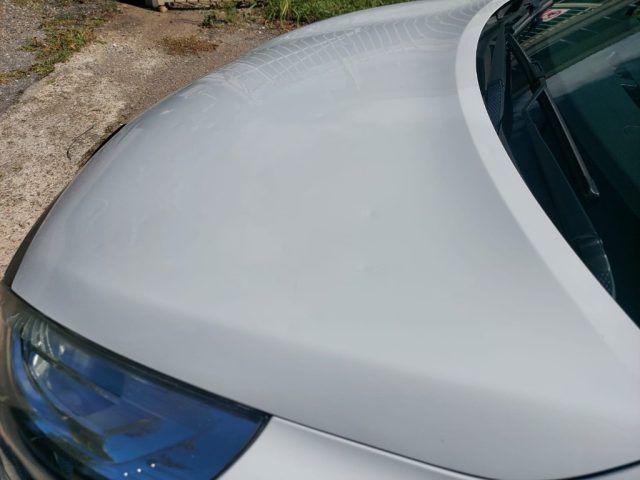 RENAULT Clio usata 11