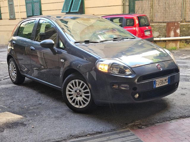 FIAT Punto usata 12