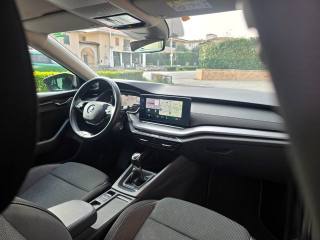 SKODA Octavia usata 103
