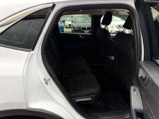 FORD Kuga usata, con Autoradio digitale