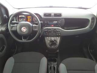 FIAT Panda usata, con Controllo trazione