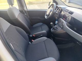 FIAT Panda usata, con Servosterzo