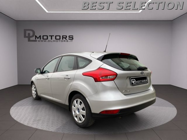 FORD Focus usata, con Airbag Passeggero