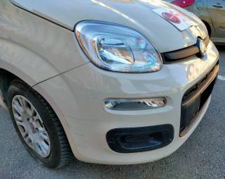 FIAT Panda usata 21