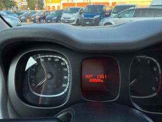 FIAT Panda usata 14