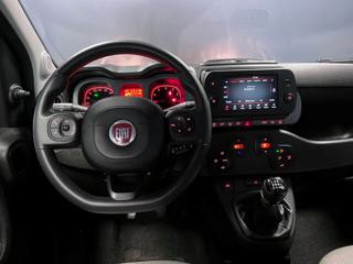 FIAT Panda Cross usata, con Controllo automatico clima