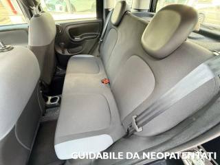 FIAT Panda usata, con Climatizzatore
