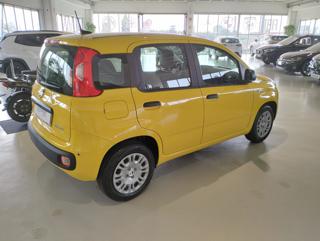 FIAT Panda usata, con Alzacristalli elettrici