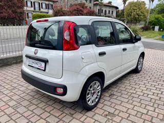 FIAT Panda usata, con Alzacristalli elettrici