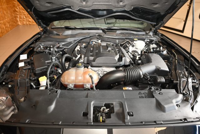 FORD Mustang usata 69