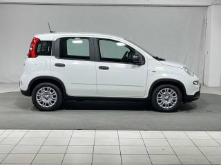 FIAT Panda usata, con Chiusura centralizzata