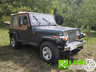 JEEP Wrangler usata 8