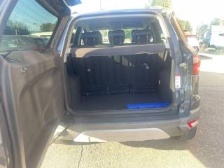 FORD EcoSport usata, con Fendinebbia