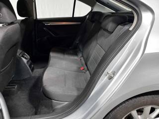 SKODA Octavia usata, con Fendinebbia