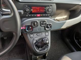 FIAT Panda usata, con Controllo trazione